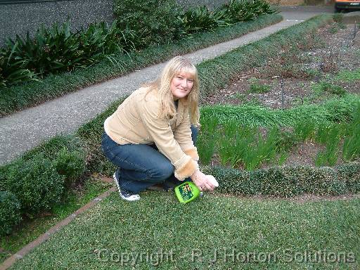 Lawn Weeds Diane 